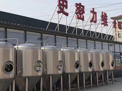 鲁山精酿啤酒设备厂—如何判断精酿啤酒设备的密封件需要更换？